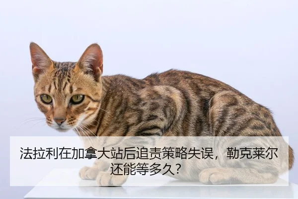 fa-la-li-zai-jia-na-da-zhan-hou-zhui-ze-ce-lve-shi-wu-lei-ke-lai-er-hai-neng-deng-duo-jiu-2-595.jpg
