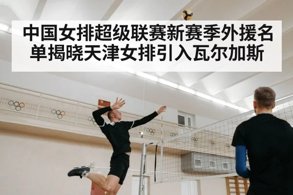 中国女排超级联赛新赛季外援名单揭晓天津女排引入瓦尔加斯